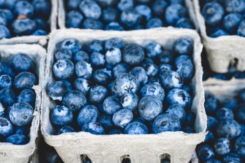 Certified Organic Frozen Blueberries - 10lb box